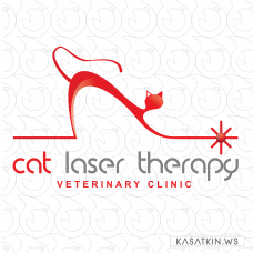 Сat Laser Therapy Veterinary clinic