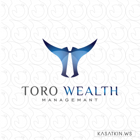 Toro Wealth